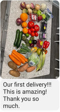 Load image into Gallery viewer, Box, Medium: Combo Fruit &amp; Veggie

